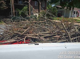 Cleanups by Charles Belosi for Kayla H. in Ballwin, MO