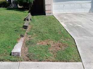 Cleanups by Jason Westgor for Miho R. in San Antonio, TX