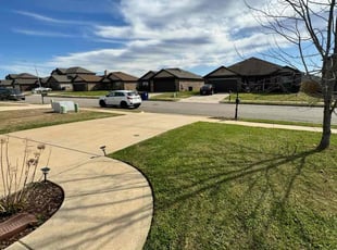 Byron P.'s Yard Cutting service result