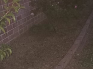 Cleanups by Billy Browning for Tasha M. in Stockton, CA