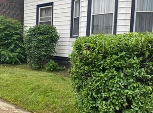 Bush Trimming by Tefel Rivera for Kenny J. in Cleveland, OH