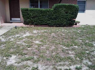 Bush Trimming by Isaac Laupola for Mariam H. in Deltona, FL