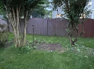 Bush Trimming by Khalid Muhammad for Shubhi J. in Morrisville, NC