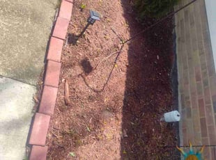Cleanups by Rayshawn Martin for Nick B. in Euclid, OH