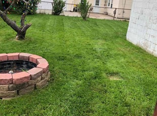 Paul C.'s Yard Cutting service result
