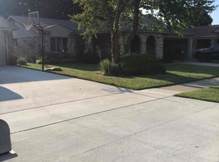 Elana H.'s Grass Cutting service result