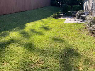 Michael R.'s Lawn Service service result