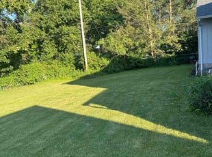 Nick I.'s Lawn Mowing service result