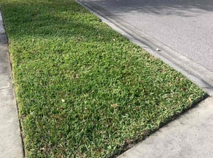 Myia S.'s Lawn Care service result