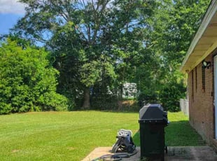 Genesis C.'s Lawn Service service result