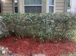 Landscaping by Gerardo Marroquin for Sid R. in Spring, TX