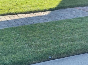 Andre D.'s Lawn Mowing service result