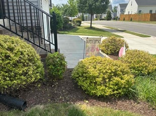 Bush Trimming by Casey Moseley for Pamela H. in Stonehouse, VA