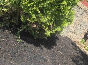 Mulching by Van Woolley for Johanna A. in Philadelphia, PA