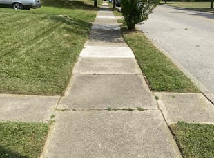 Chris s.'s Lawn Mowing service result