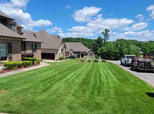 Uma Mahesh M.'s Lawn Mowing Service service result