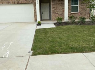 Eileen H.'s Lawn Mowing service result