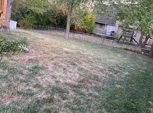 Leaf Removal by Shawn Byers for Wendell L. in Lee's Summit, MO