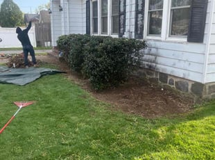Bush Trimming by Walther MuΓ±oz for Renee R. in Bridgeport, CT