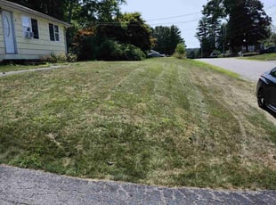 Angela G.'s Grass Cutting service result