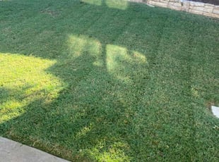 Dennis O.'s Grass Cutting service result