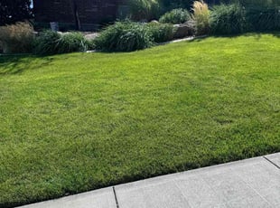 Melanie M.'s Lawn Care service result