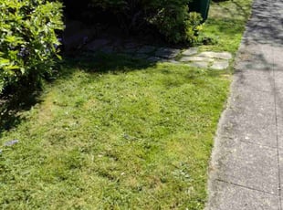 Julie K.'s Lawn Mowing service result