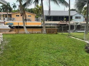 Joyce G.'s Lawn Mowing service result