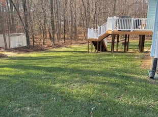 Louis M.'s Lawn Maintenance service result