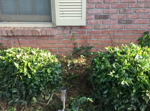 Bush Trimming by Markeiven Ogburn for Brenda B. in Fayetteville, GA