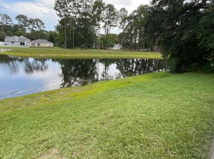Jonathan N.'s Lawn Care service result
