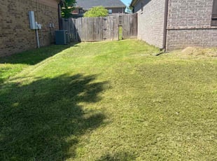 Wallace M.'s Grass Cutting service result