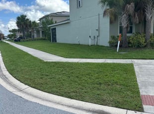 Rita M.'s Lawn Service service result