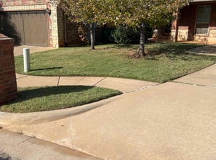 Sarah V.'s Yard Cutting service result