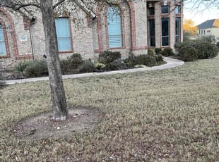 Bush Trimming by Eliseo Guerrero RamÃrez for David J. in Austin, TX