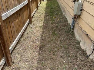 Cleanups by Lacy Dixon for Merrisa B. in San Antonio, TX