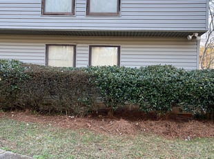 Bush Trimming by Enemecio Garcia for Stan H. in Mableton, GA