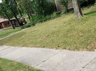 Bush Trimming by Blake Delp for Chelsea R. in Grand Rapids, MI