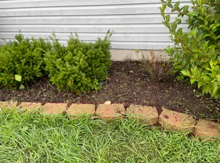 Weeding by SERGIO SANCHEZ for andrew b. in Belleville, IL