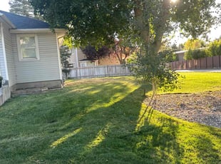 Bobby R.'s Lawn Mowing service result