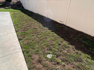 Landscaping by Samuel Benavides for Melvin W. in Riverside, CA