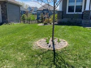 Rita K.'s Lawn Mowing service result