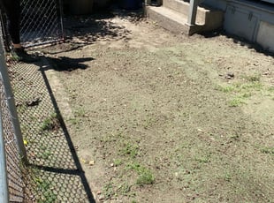 Landscaping by James Sedlak for Lauren H. in Scranton, PA