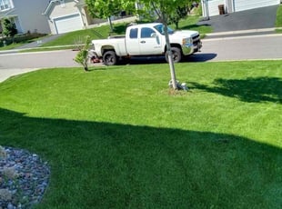 Debbie W.'s Lawn Service service result