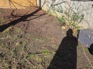 Leaf Removal by Green Juniper for Jared C. in Raleigh, NC