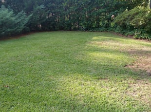 Cleanups by Christopher Franklin for Adam P. in Avondale Estates, GA