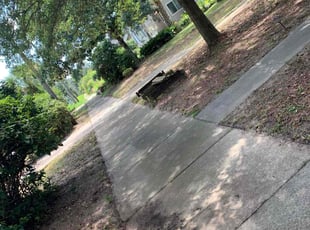 Cleanups by Mikel Davies for Matt E. in Pensacola, FL
