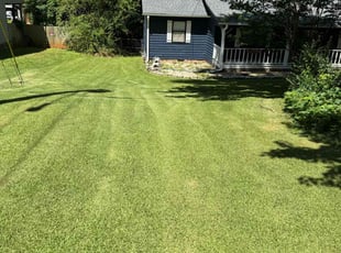 Stephanie S.'s Lawn Service service result