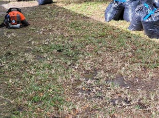 Leaf Removal by Sherrod Williams for Richard A. in Jacksonville, FL