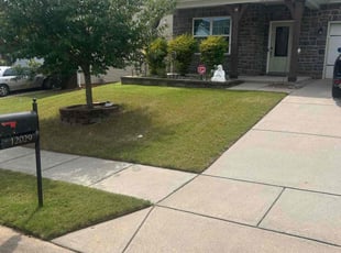 William S.'s Grass Cutting service result